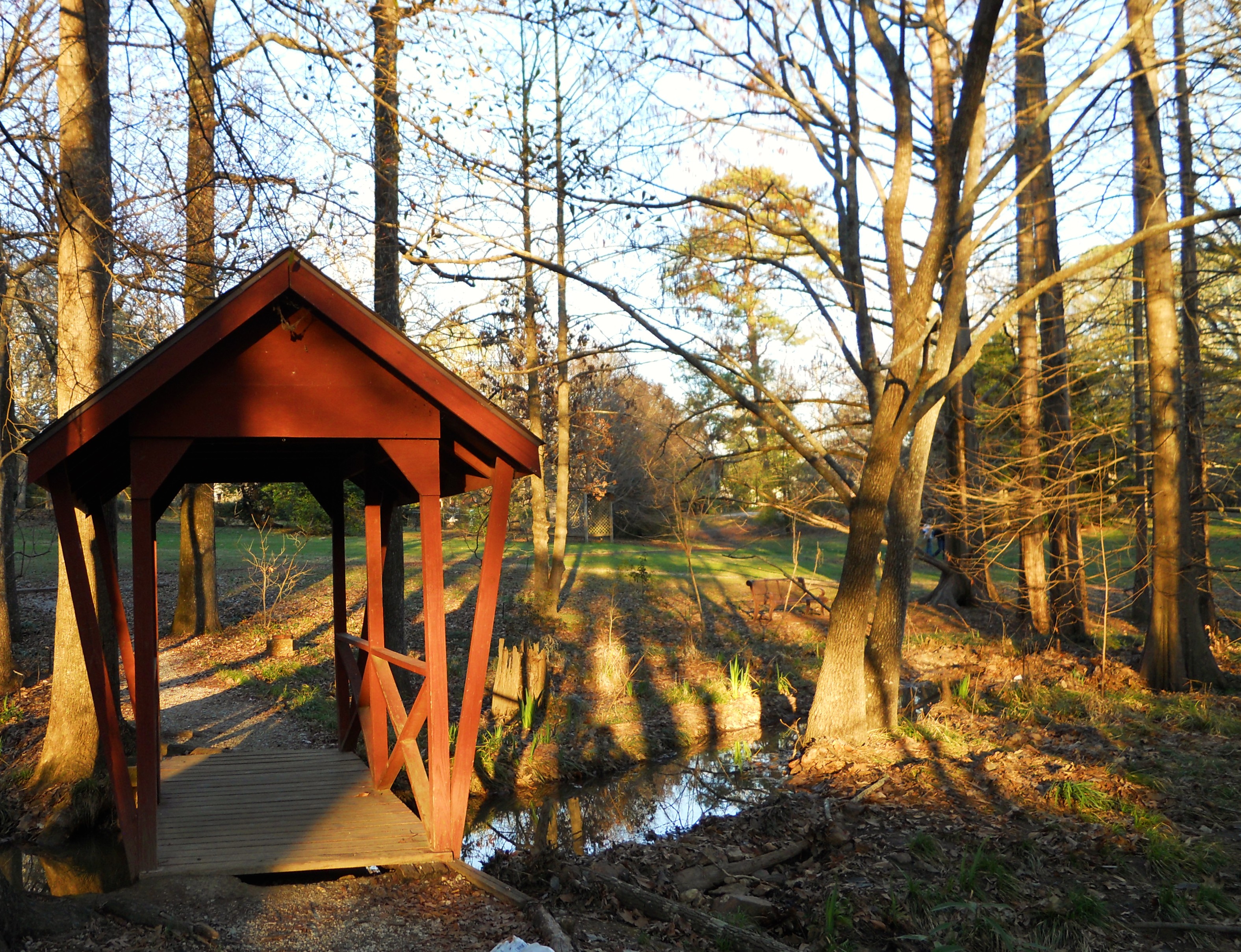 bridge at the Arboretum
