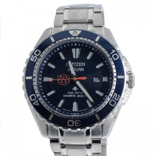 45MM AUBURN PROMASTER DIVER